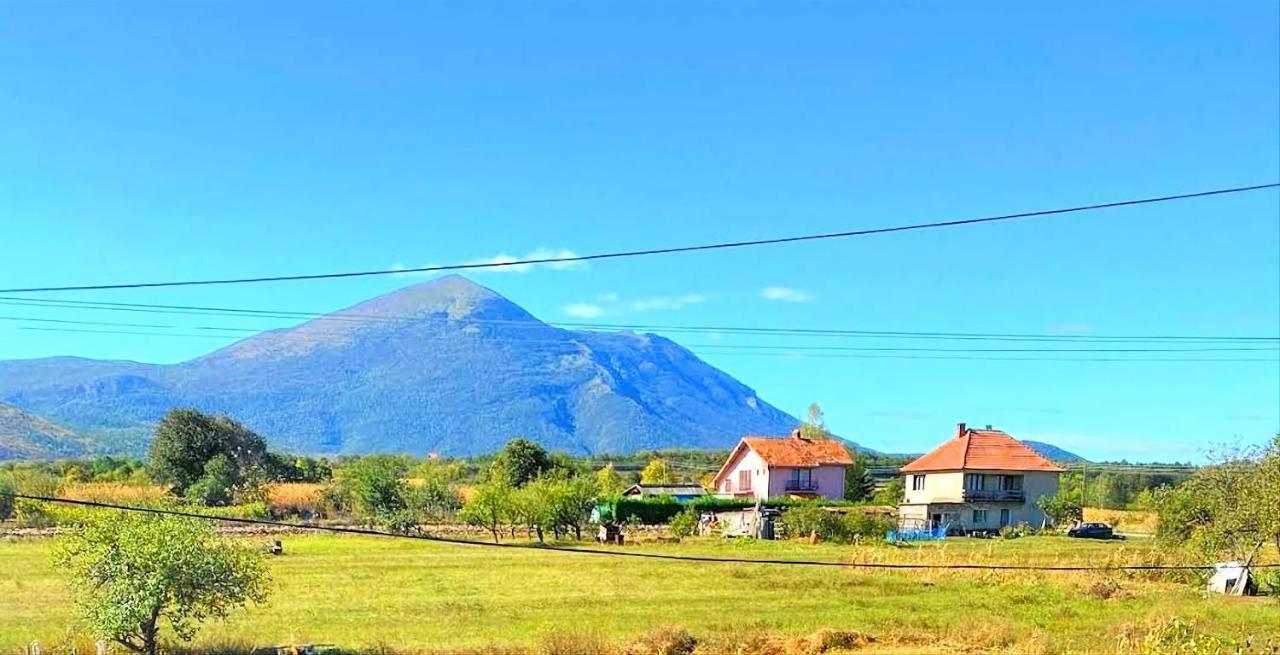 Villa Saturea Boljevac Zewnętrze zdjęcie