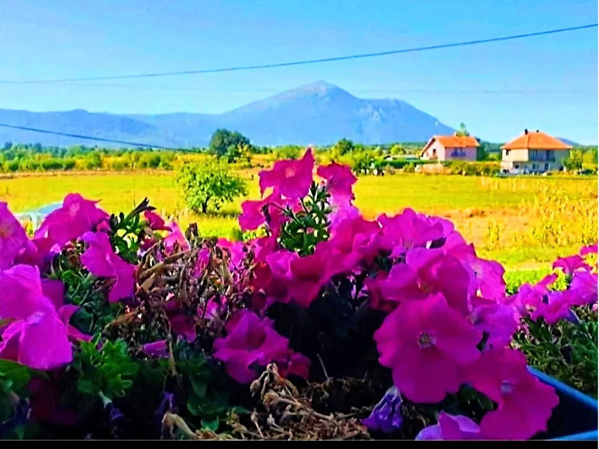 Villa Saturea Boljevac Zewnętrze zdjęcie